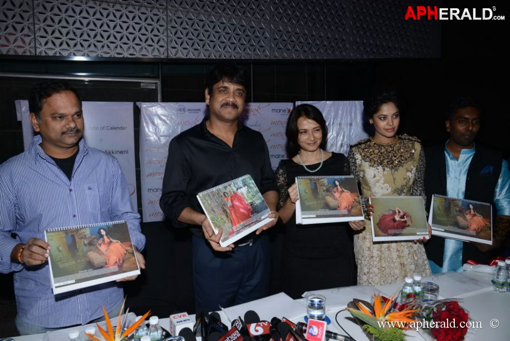 Bindu Madhavi Fashion Calendar 2014 Launch Event