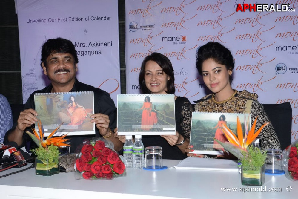 Bindu Madhavi Fashion Calendar 2014 Launch Event