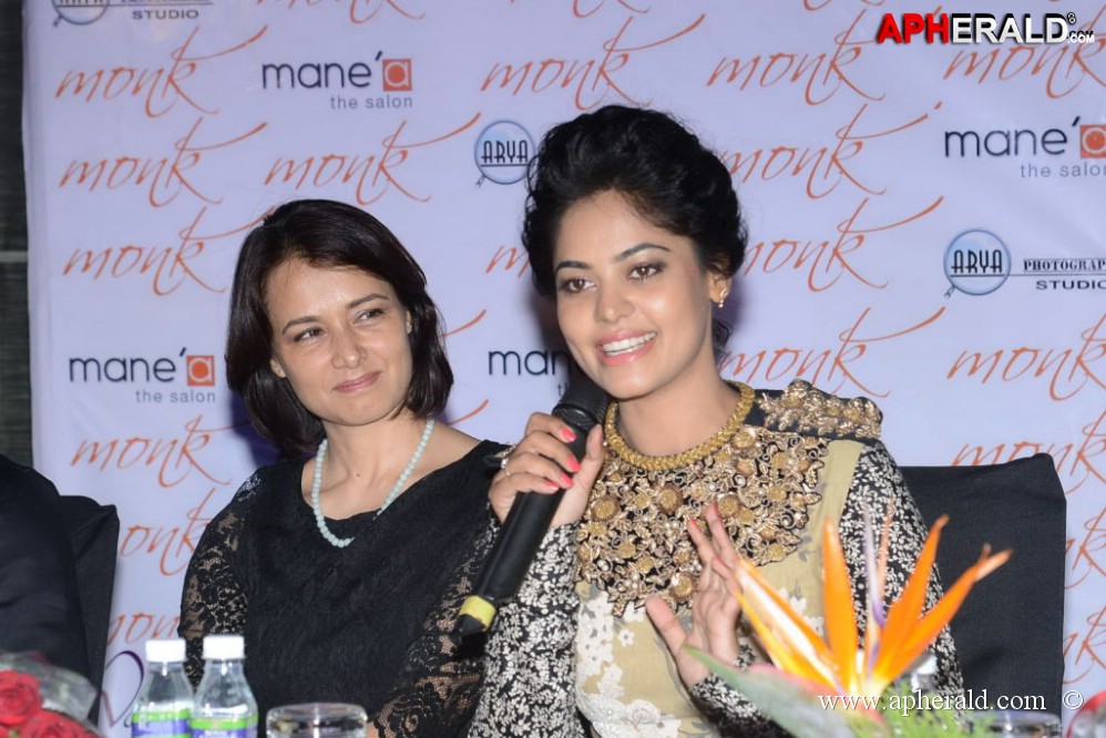 Bindu Madhavi Fashion Calendar 2014 Launch Event