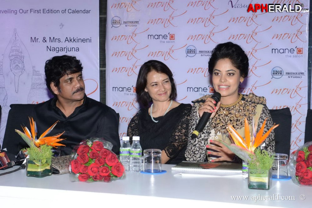 Bindu Madhavi Fashion Calendar 2014 Launch Event