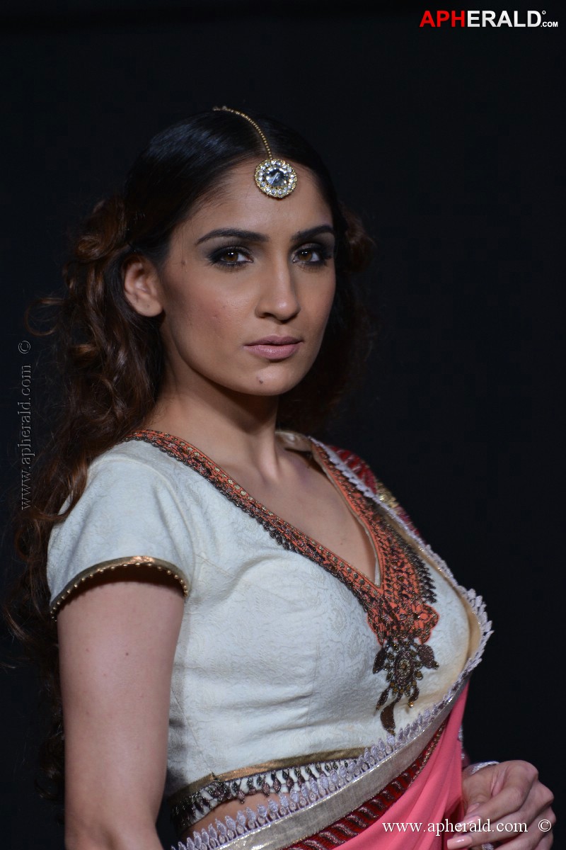 Blenders Pride Fashion Tour 2013