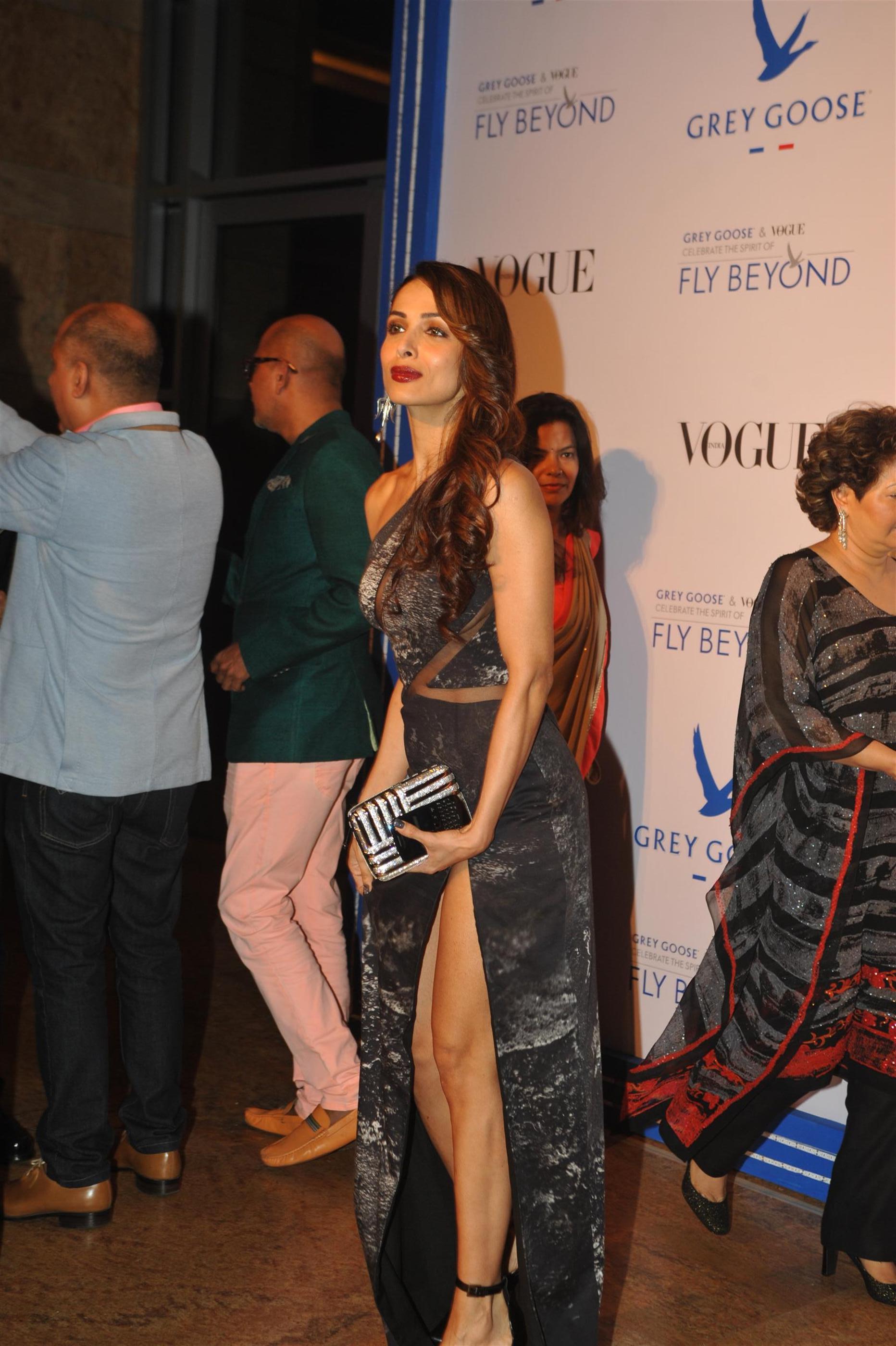 Bollywood Celebs at Grey Goose Fly Beyond Awards 2014