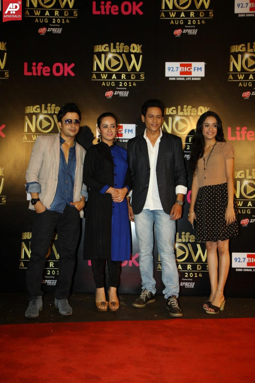 Bollywood Celebs At The Life OK Now Awards 2014