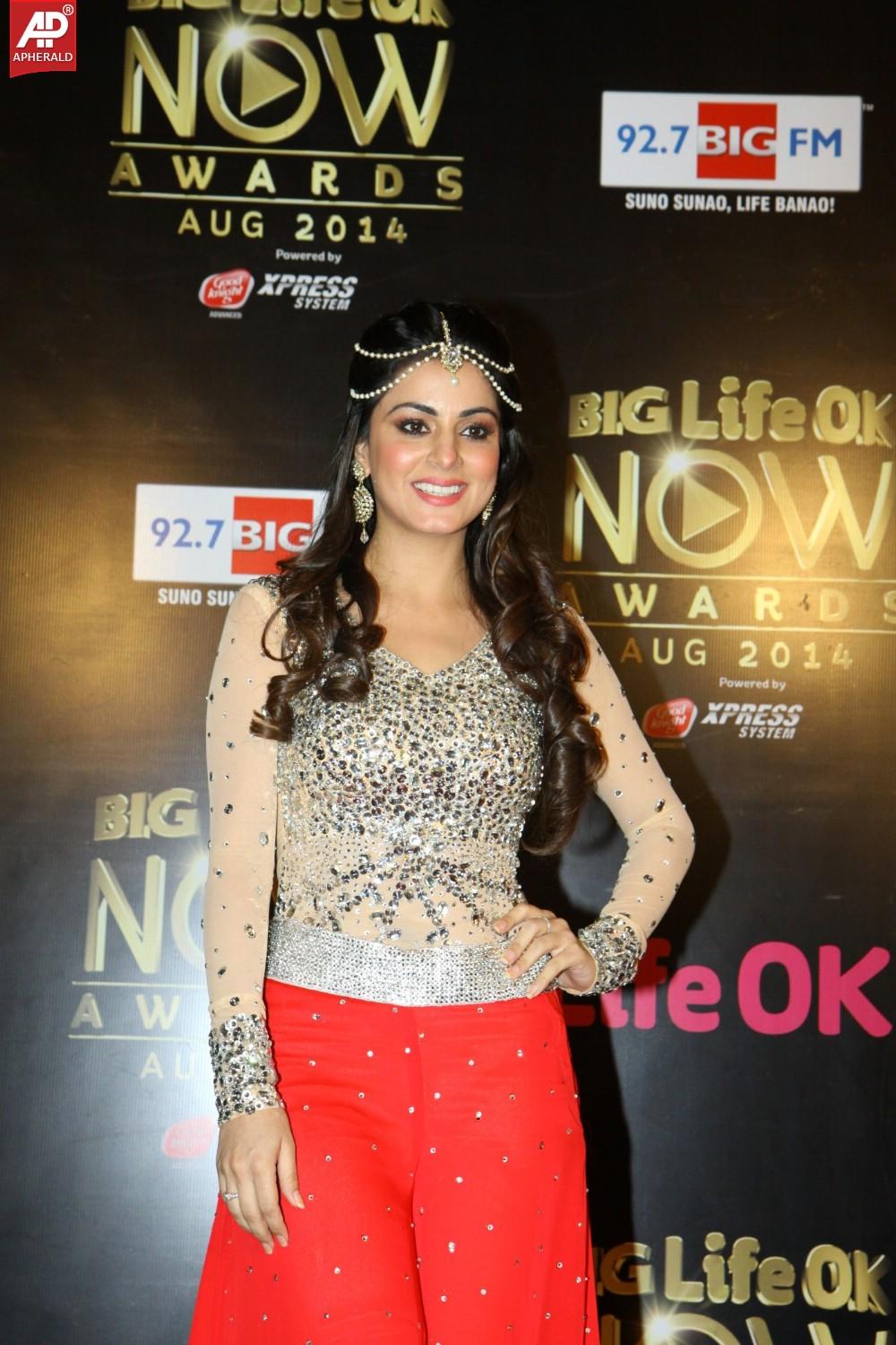 Bollywood Celebs At The Life OK Now Awards 2014