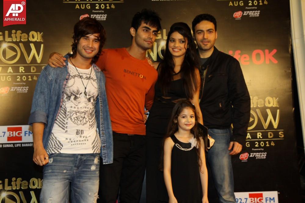 Bollywood Celebs At The Life OK Now Awards 2014