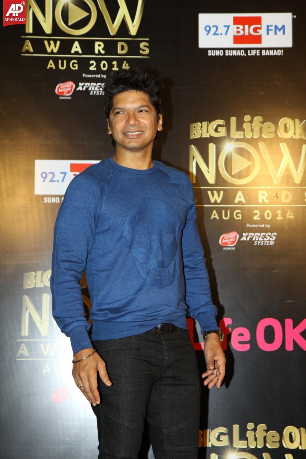 Bollywood Celebs At The Life OK Now Awards 2014