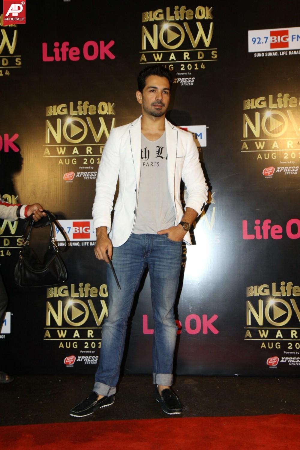 Bollywood Celebs At The Life OK Now Awards 2014