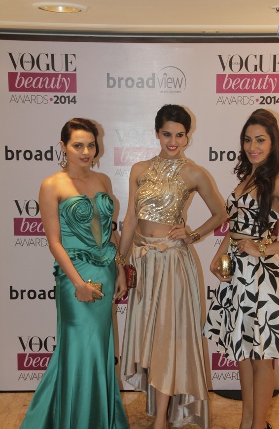 Bollywood Celebs at Vogue Beauty Awards 2014