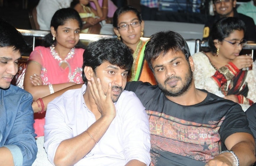 Brother of Bommali Movie Audio Launch 1
