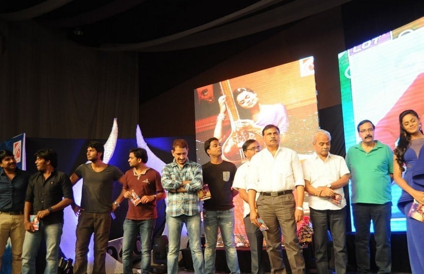 Brother of Bommali Movie Audio Launch 1