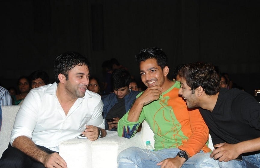 Brother of Bommali Movie Audio Launch 1