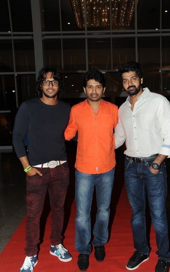 Brother of Bommali Movie Audio Launch 1