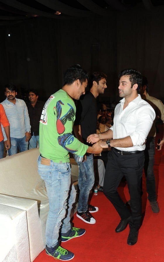 Brother of Bommali Movie Audio Launch 1