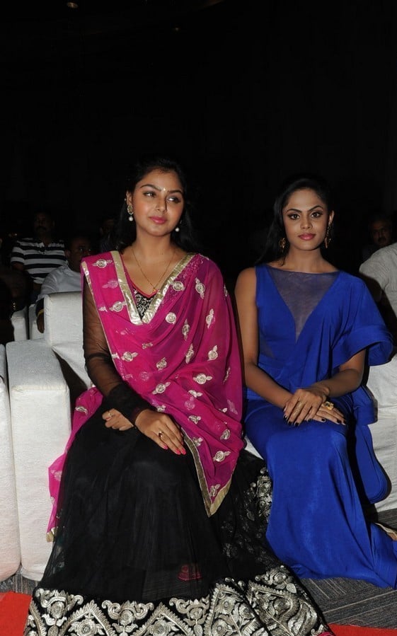 Brother of Bommali Movie Audio Launch 1