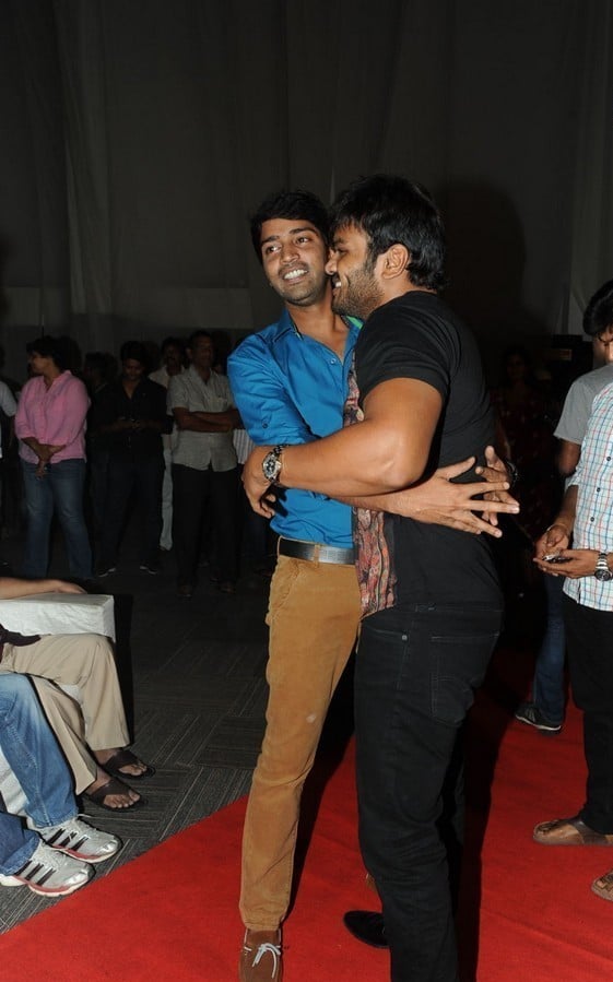 Brother of Bommali Movie Audio Launch 1