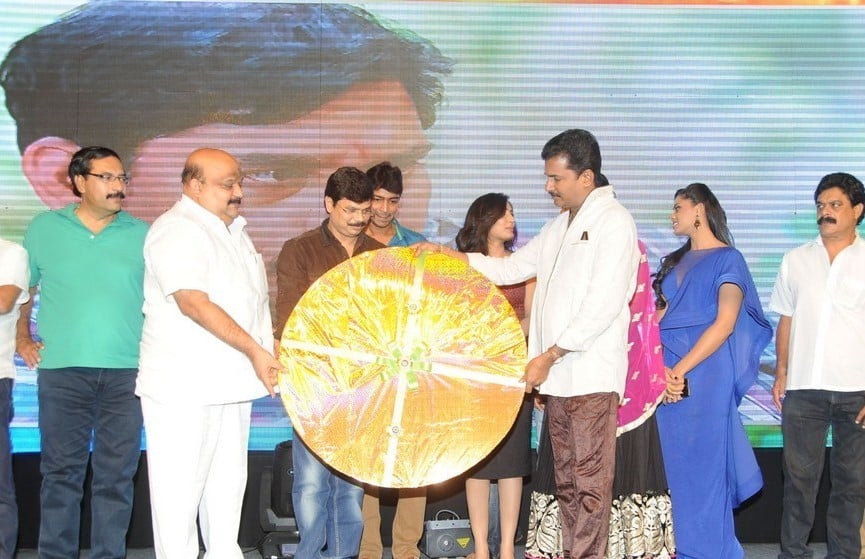 Brother of Bommali Movie Audio Launch 1