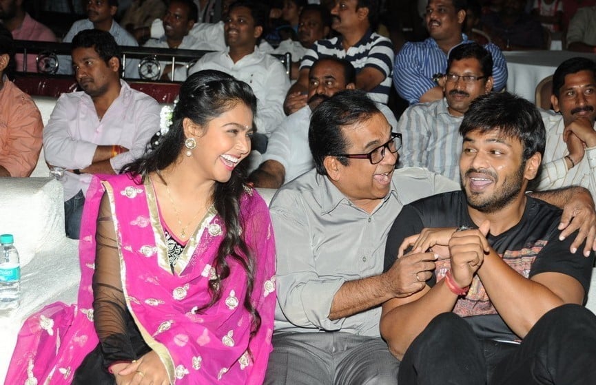 Brother of Bommali Movie Audio Launch 1