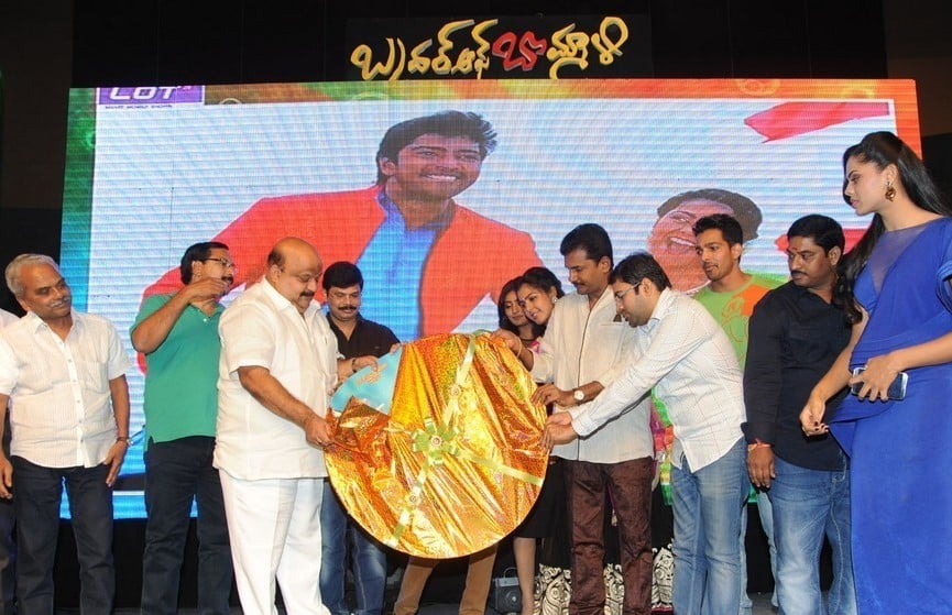 Brother of Bommali Movie Audio Launch 1