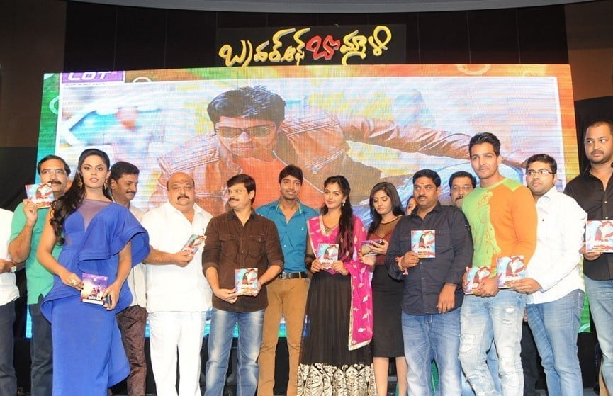 Brother of Bommali Movie Audio Launch 1