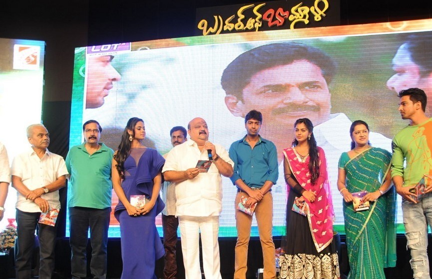 Brother of Bommali Movie Audio Launch 1