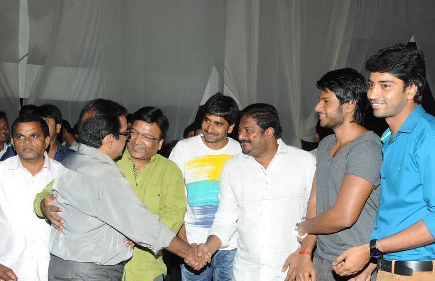 Brother of Bommali Movie Audio Launch 1