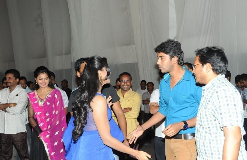 Brother of Bommali Movie Audio Launch 1