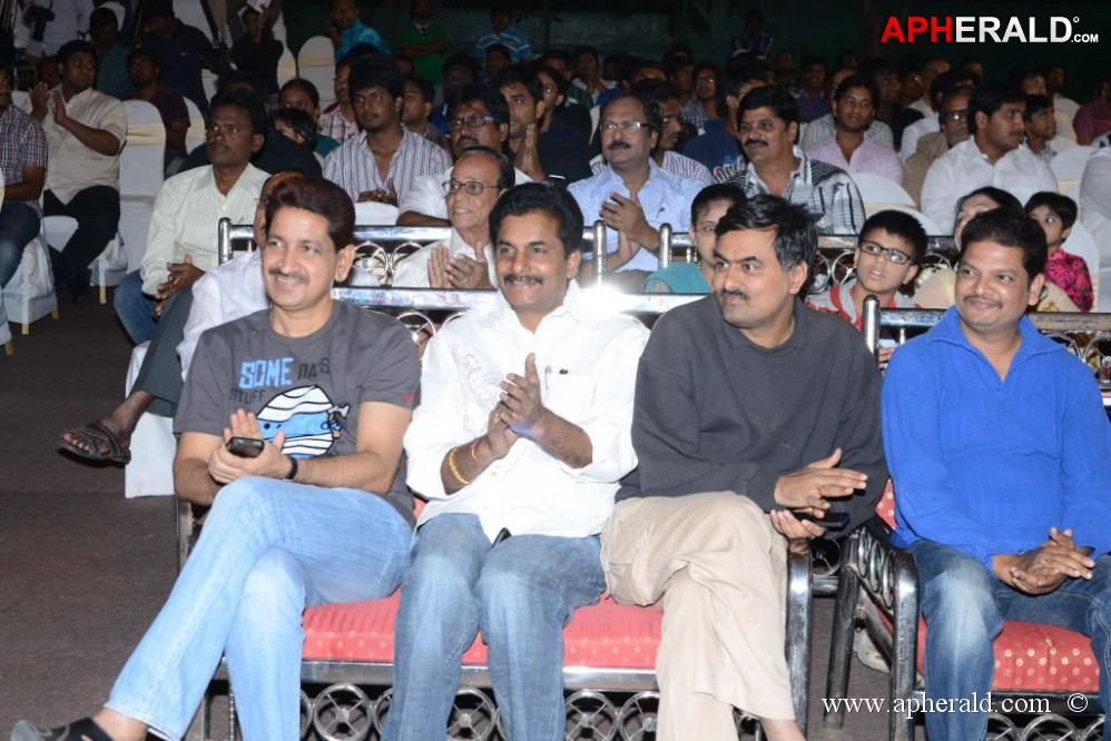 Bunny n Cherry Audio Launch