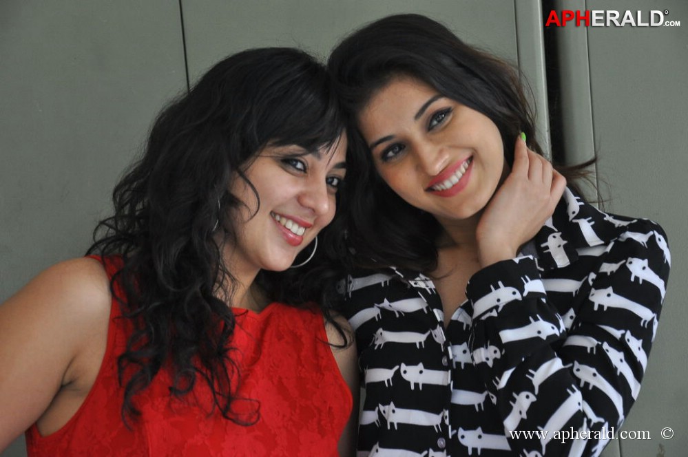 Bunny n Cherry Platinum Disc Function