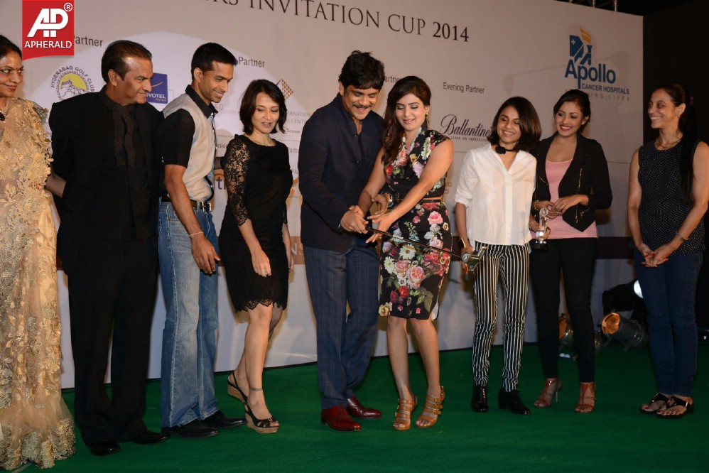 Cancer Crusaders Invitation Cup Celebrity Playoff 2014