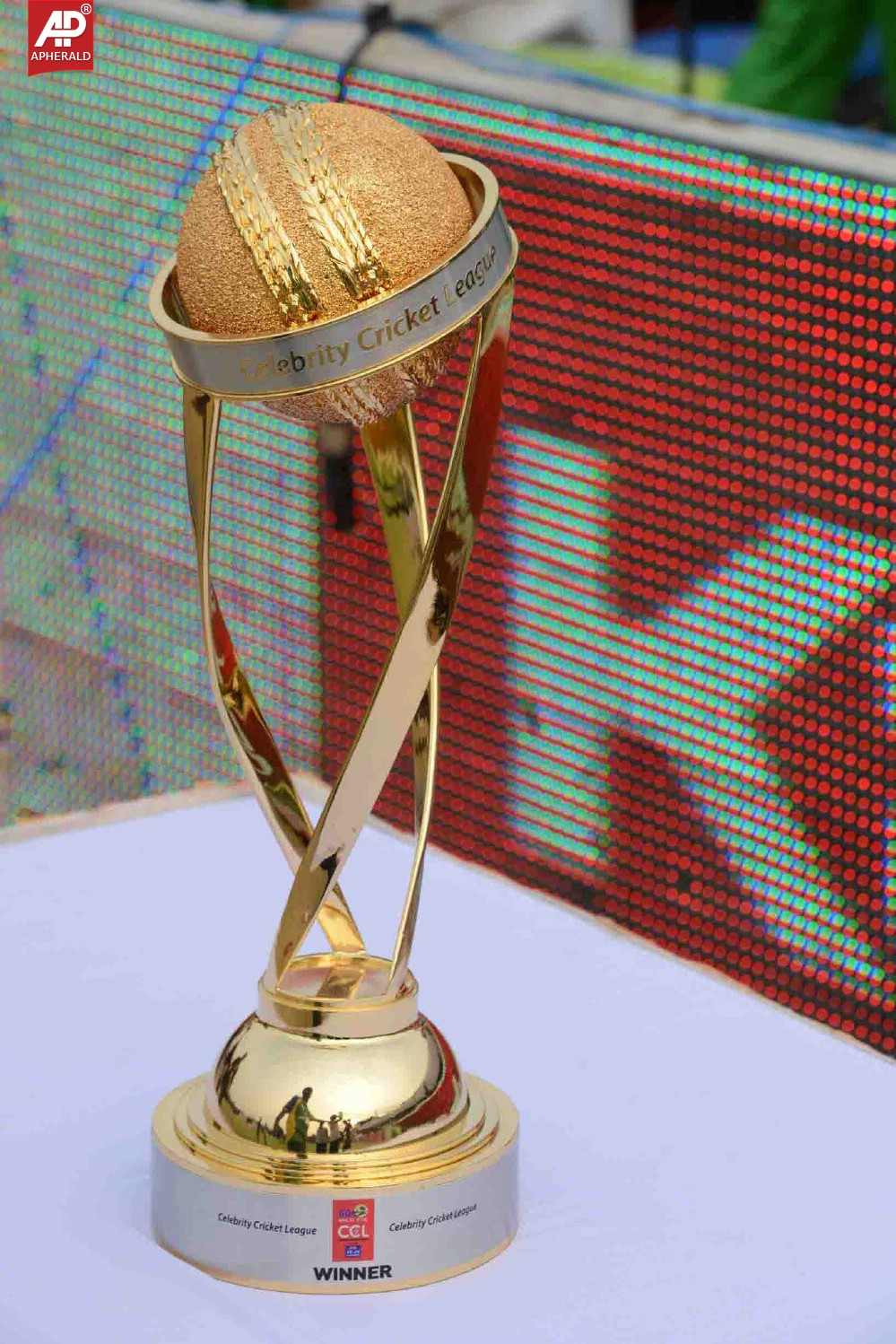 ccl4 semifinal photos