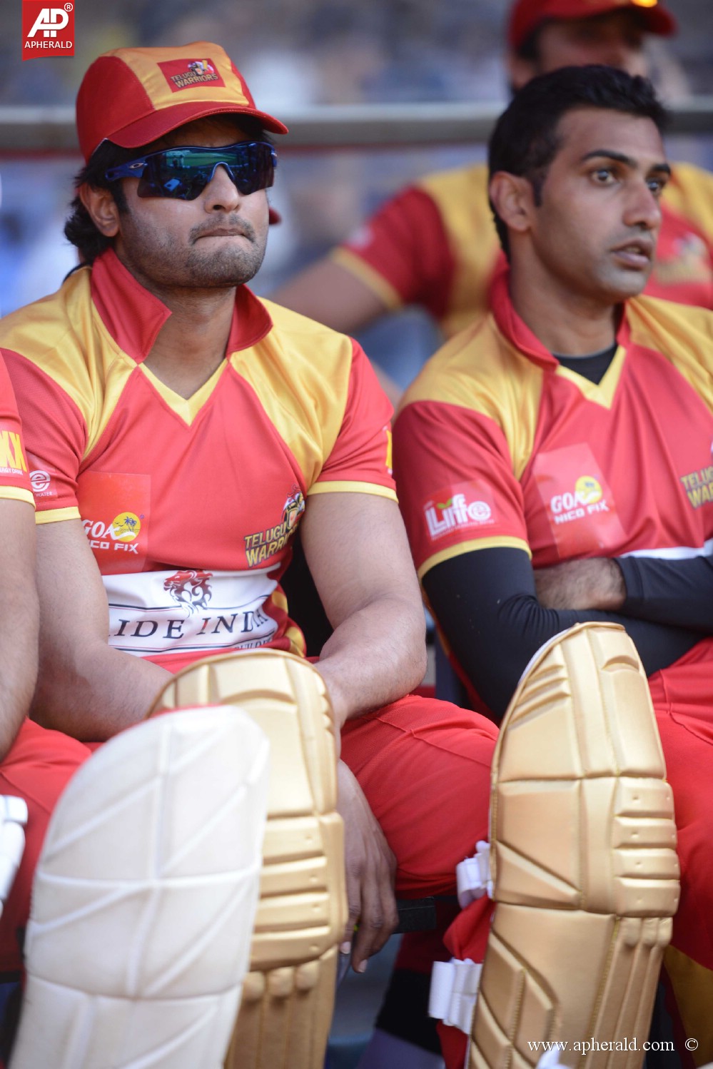 CCL4 Telugu Warriors Stills