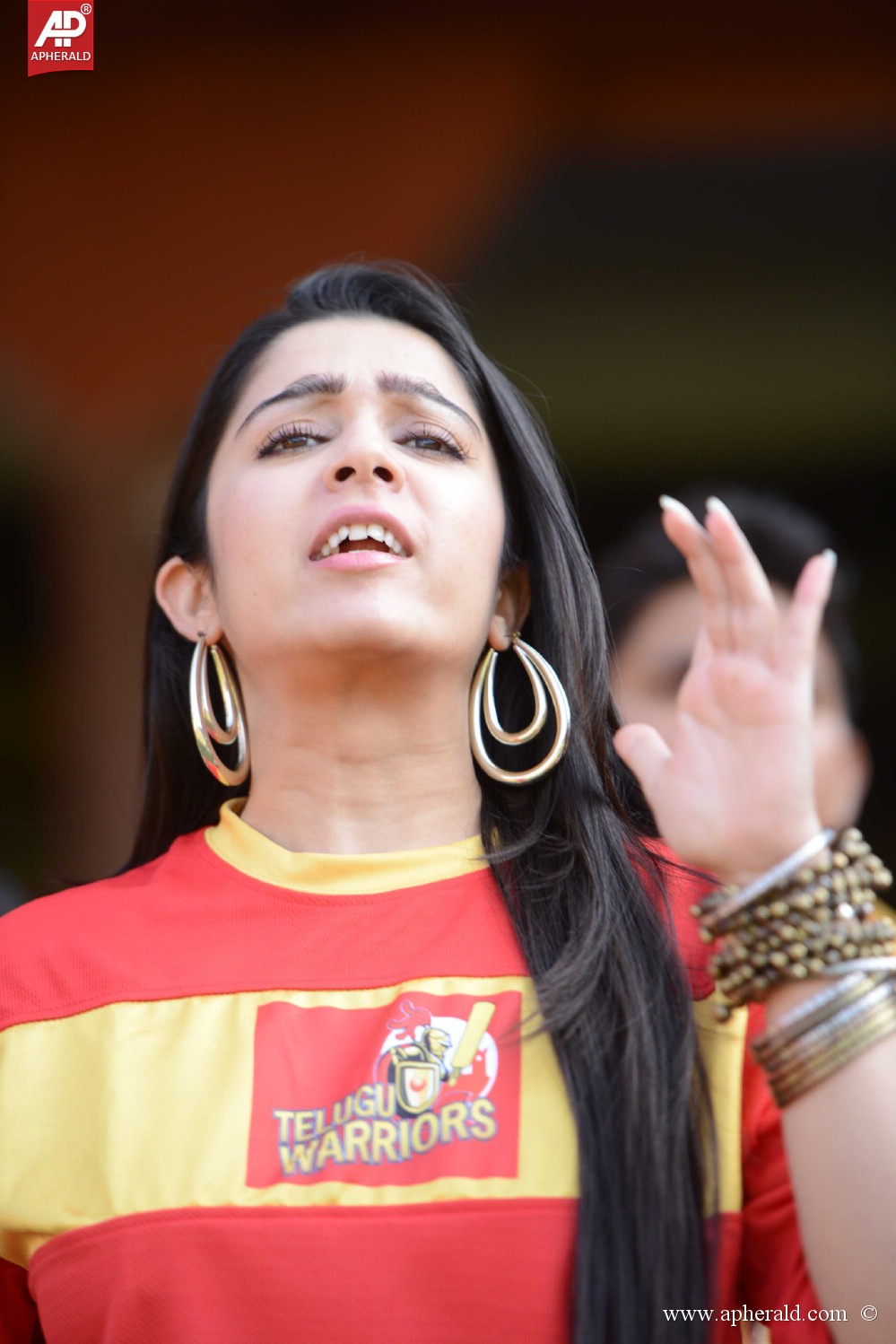 CCL4 Telugu Warriors Stills