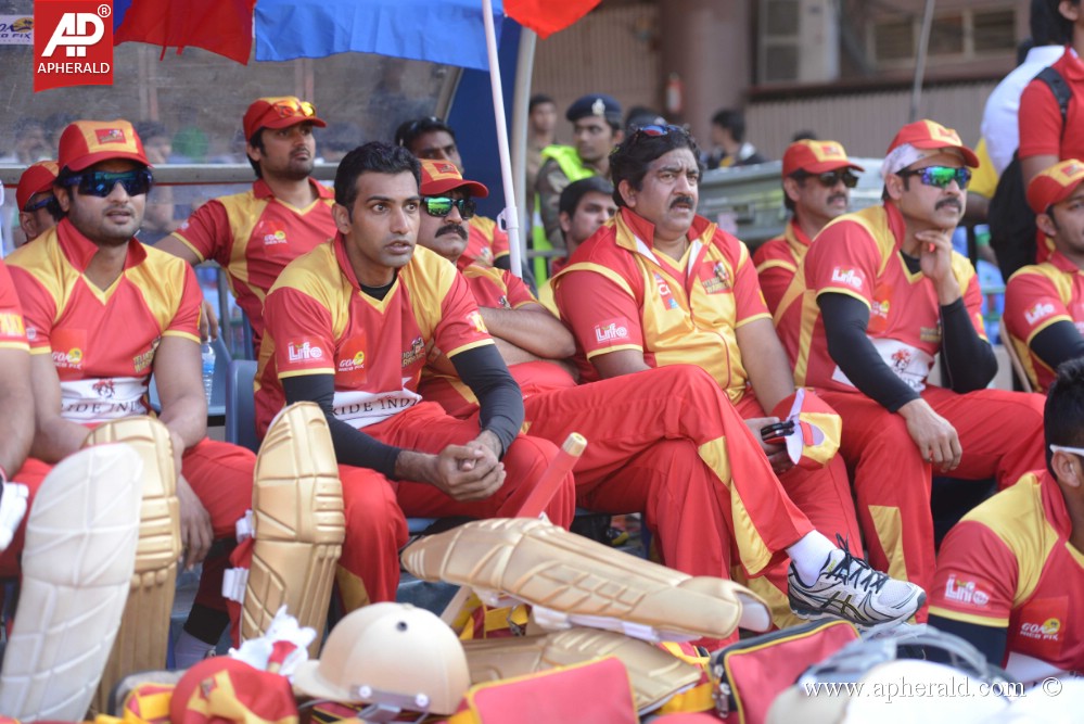 CCL4 Telugu Warriors Stills