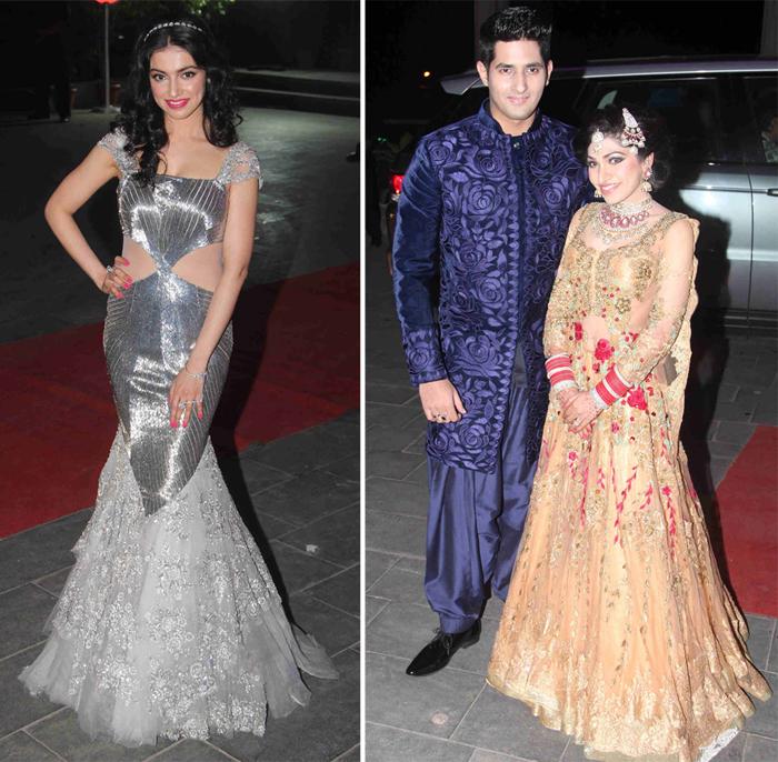 Celebrities At Tulsi Kumars wedding Reception
