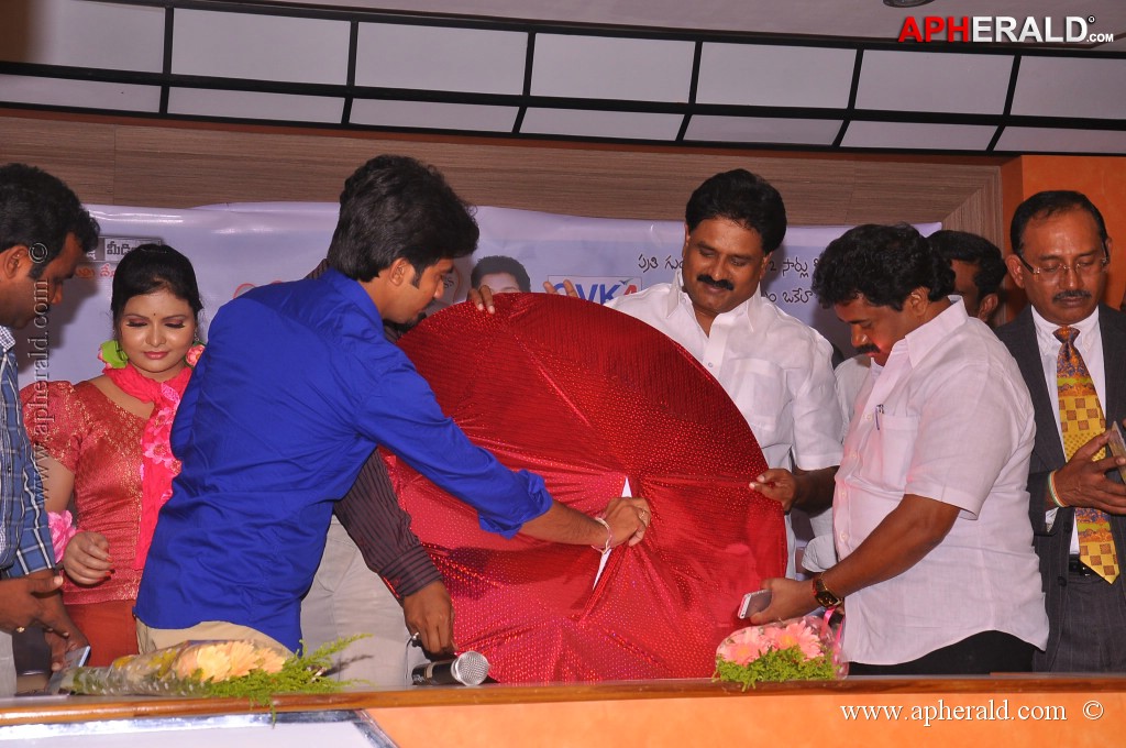 Celebrity Movie Audio Launch