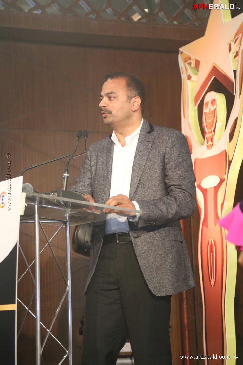 Celebs at Audi Ritz Icon Awards 2013 Photos 1