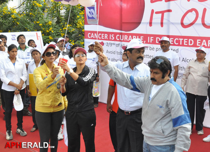 Celebs at Cancer Awareness 2013 Event