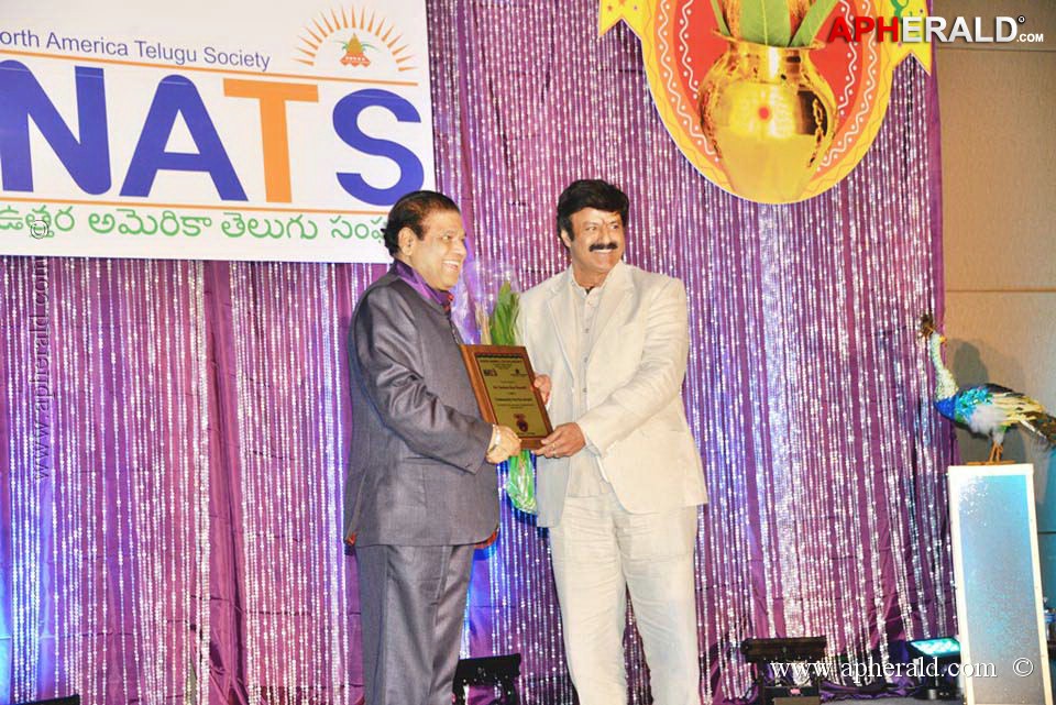 Celebs at NATS 2013 Telugu Sambaralu Day 1