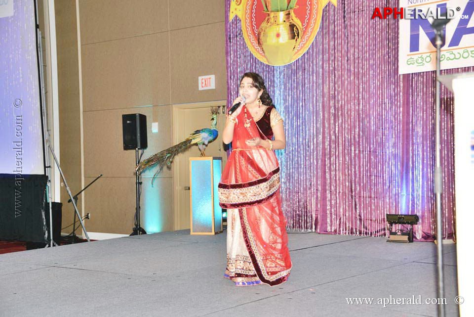 Celebs at NATS 2013 Telugu Sambaralu Day 1