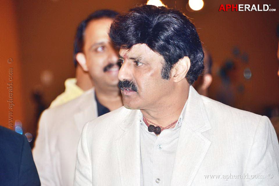 Celebs at NATS 2013 Telugu Sambaralu Day 1