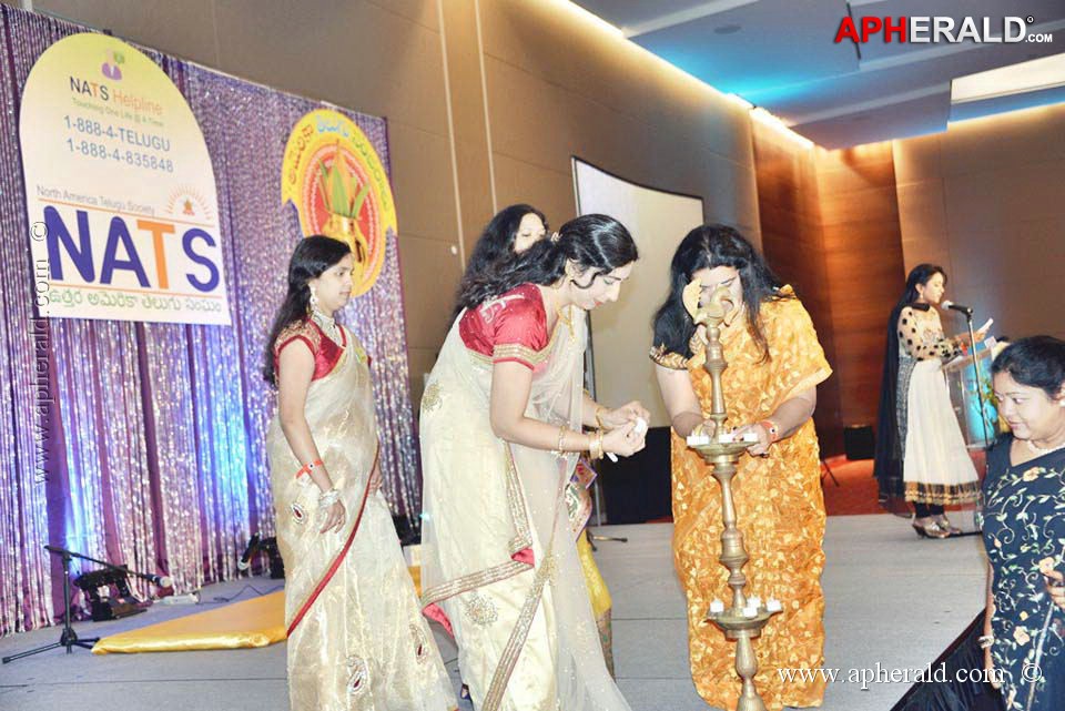 Celebs at NATS 2013 Telugu Sambaralu Day 1