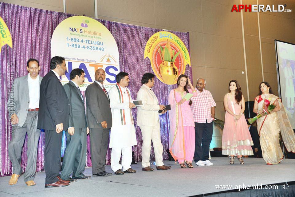Celebs at NATS 2013 Telugu Sambaralu Day 1