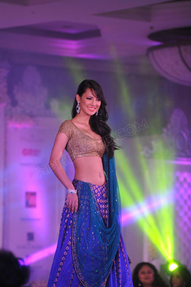 Celebs at Shehnai 2013 Fashion Show Photos