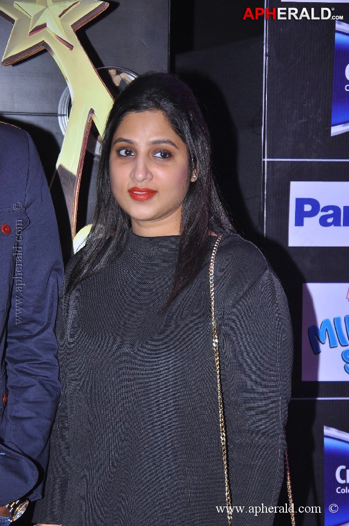 Celebs at SIIMA Awards 2013