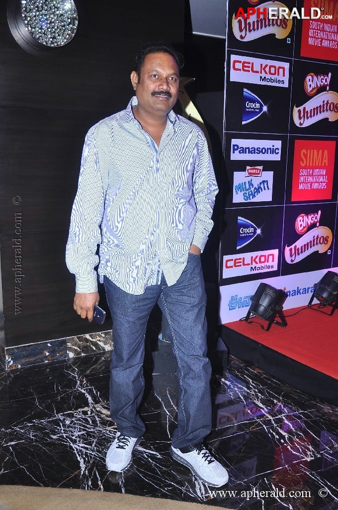 Celebs at SIIMA Awards 2013