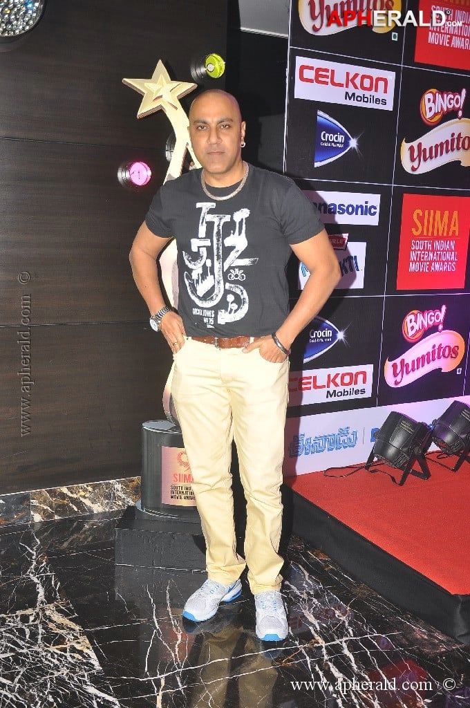 Celebs at SIIMA Awards 2013