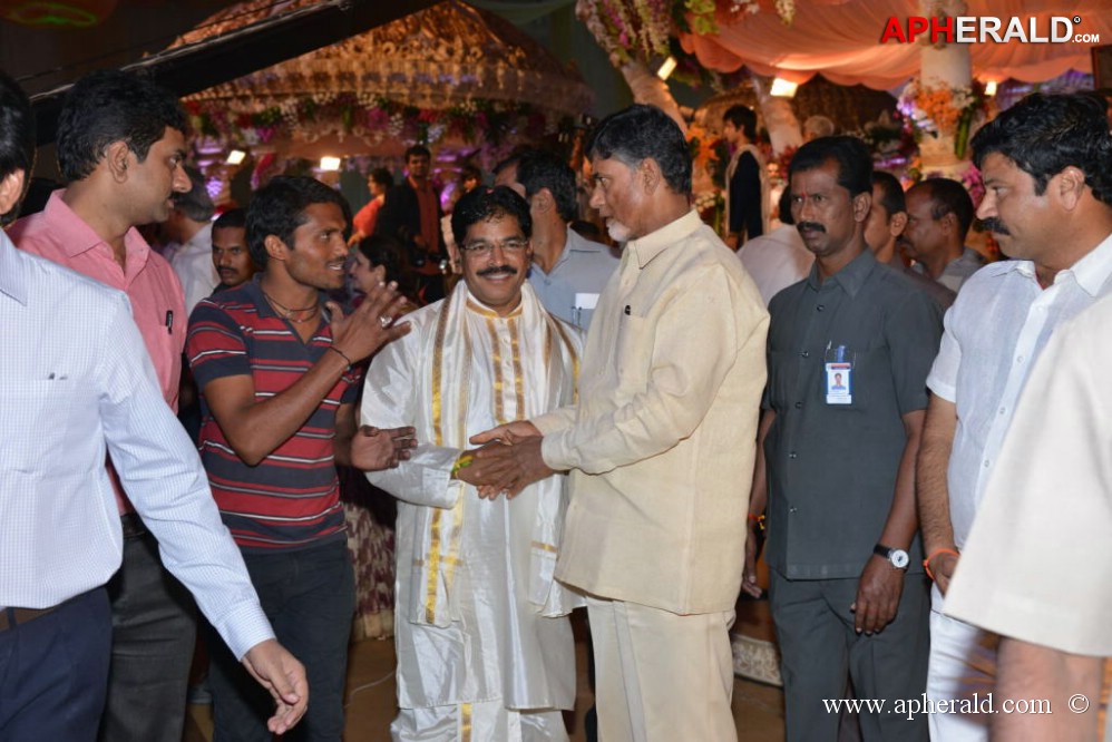 Celebs at Sunny Keerthi Wedding Photos