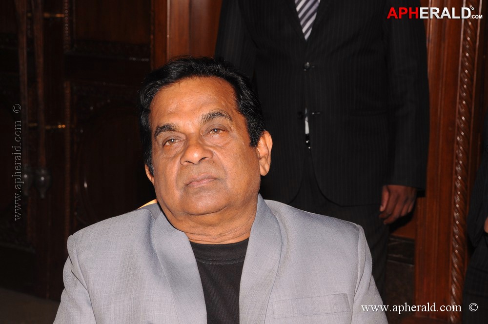 Celebs at The Indian Brand Launch