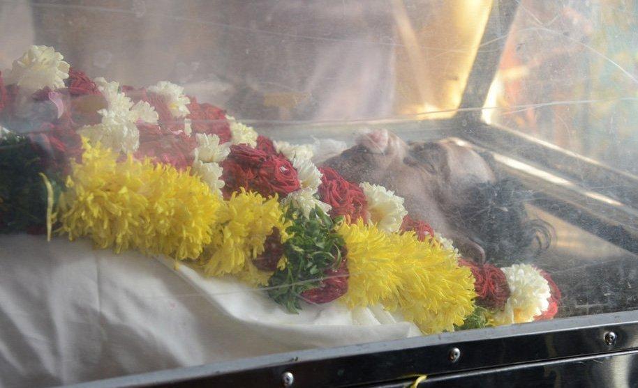 Celebs Pay Homage To M S Narayana