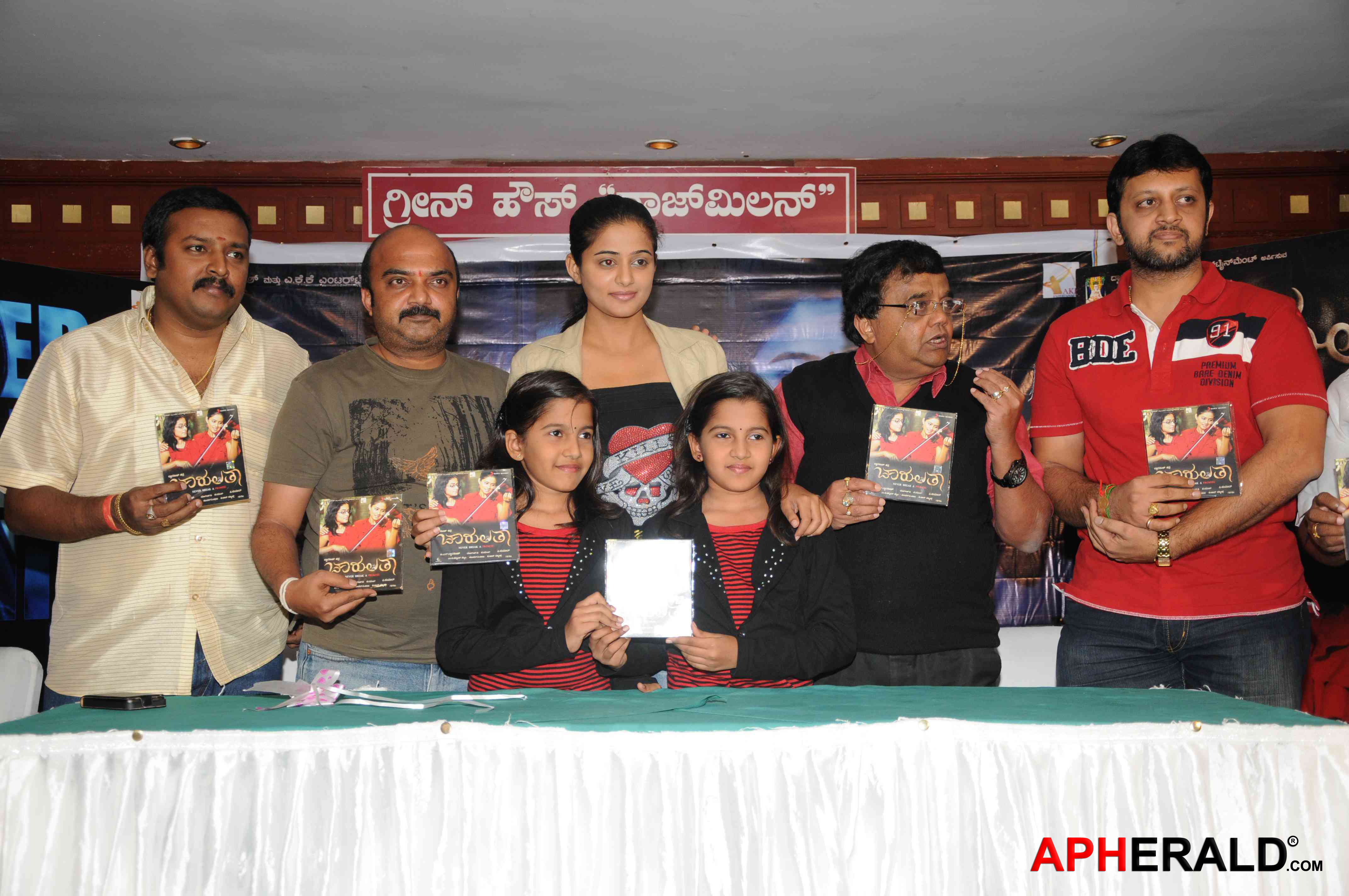 Charulatha Tellugu Movie Audio Release - Priyamani